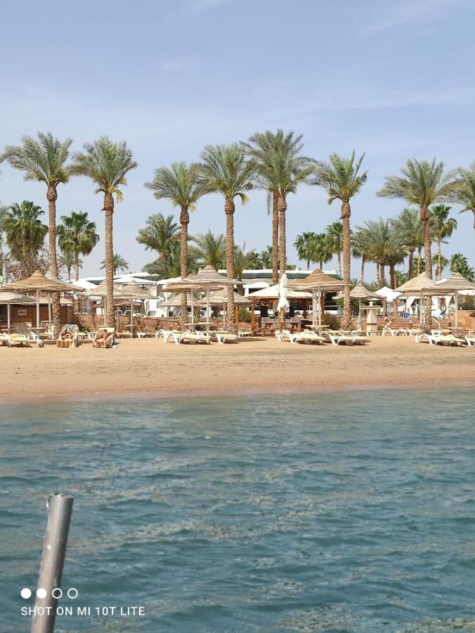Seti Sharm Palm Beach Resort Families And Couples Only Exterior foto