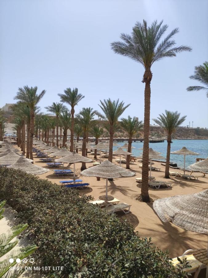 Seti Sharm Palm Beach Resort Families And Couples Only Exterior foto